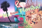 Flroida-Hi-From-Florida
