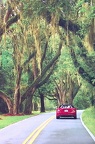 Tallahassee-Florida-Canopy-Roads