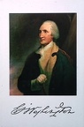 Pine-George Washington-1785
