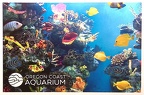 Tropical Fish-Coral Reef-Oregon Coast Aquarium