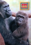 Western Lowland Gorillas-Zoo Atlanta