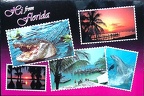 Florida - Hi from Florida-Greetings from Florida