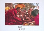 cuzcopete, Direct Swap Received, Gelugpa, Yellow Hats (24 Aug 2022)