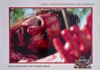 Florida-Orlando-Holy Land Experience-John 3-16