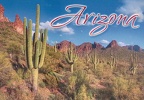 imasra, Postcard US-8218528 Sent, Saguaros in Hewitt Canyon, Arizona (15 Feb 2022)