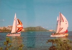 GingerMia, Postcard US-8065850 Sent, Sailboats with Diamond Head in the Background (8 Dec 2021)