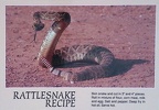 Rattlesnake-Recipe