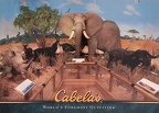 Cabela's-World's Foremost Outfitter-Please Keep Hands Inside the Vehicle