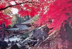 satoko-k, Direct Swap, Ishiyama-Dera Temple (27 Oct 2021)
