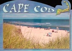 Shaped Cape Cod