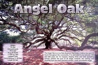 Angel Oak, Johns Island, SC