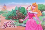 4-Ever &amp; Always a Princess - Sleeping Beauty - Aurora