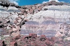 Petrified Forest National Park 10