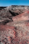 Petrified Forest National Park 12