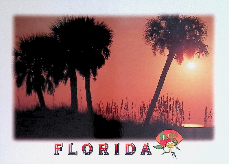 Florida - Sunset Palms and Sea Oats.jpg