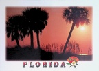 Florida - Sunset Palms and Sea Oats