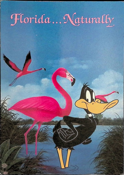 Florida ... Naturally - Daffy Duck.jpg