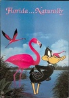 Florida ... Naturally - Daffy Duck