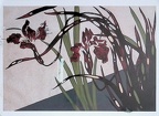 SeanLanham, Postcard US-8167415 Received, Patterns of Plants and Flowers (30 Jan 2022)