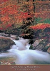saj, Postcard US-8252565 Received, The Great Smoky Mountains, National Park (10 Mar 2022)
